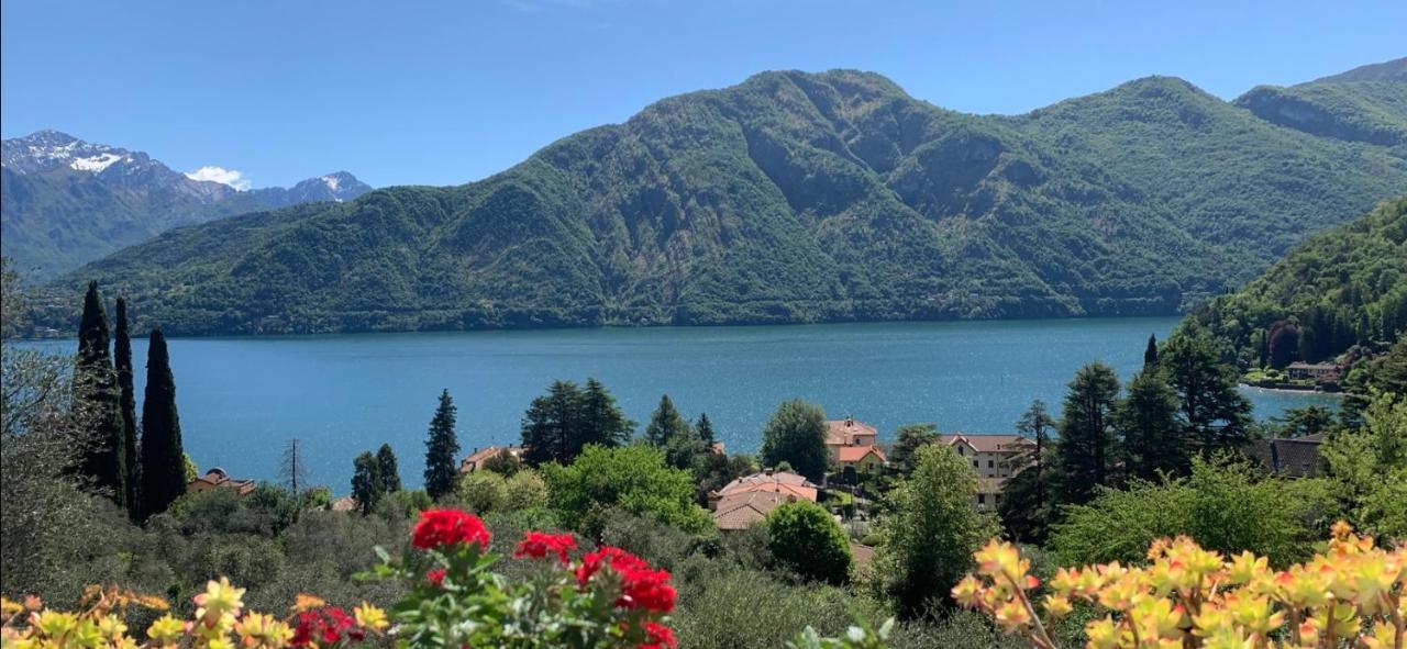 La Dolce Vista Διαμέρισμα Tremezzo Εξωτερικό φωτογραφία